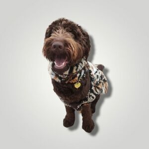 ciao ciao flintstone tiger dog costume Large